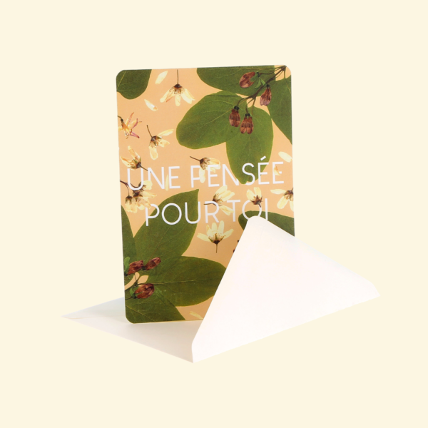 Carte - Une pensée pour toi Abricot