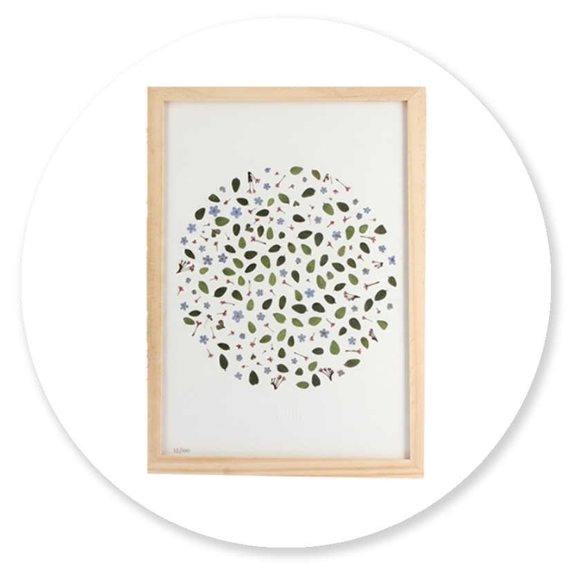 cadre-florale-belimatelier