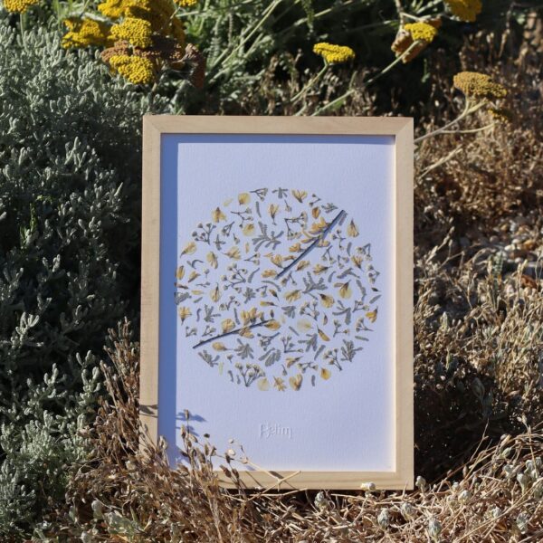 Herbier original JARDIN D'OR ET D'ÉCUME