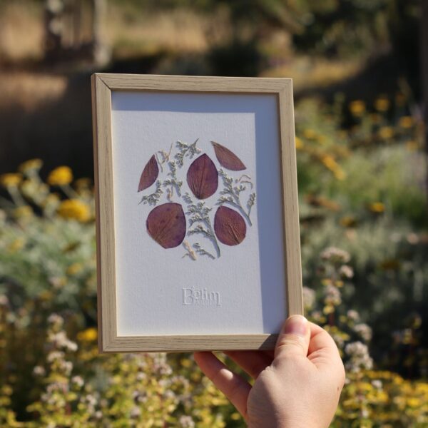 Herbier original DOUCEUR D'HIVER