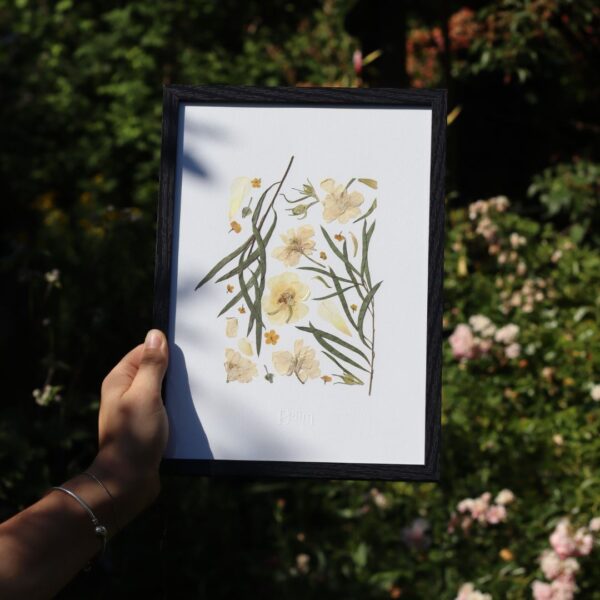 Herbier original ÉCLAT D'UN SOUVENIR