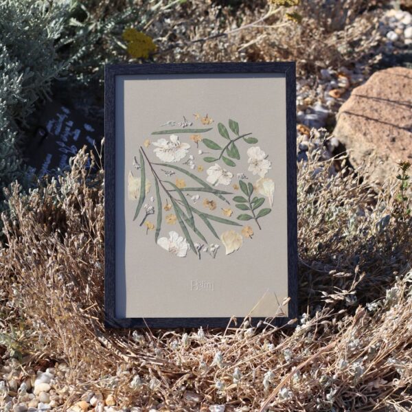 Herbier original SOUVENIR DORÉ