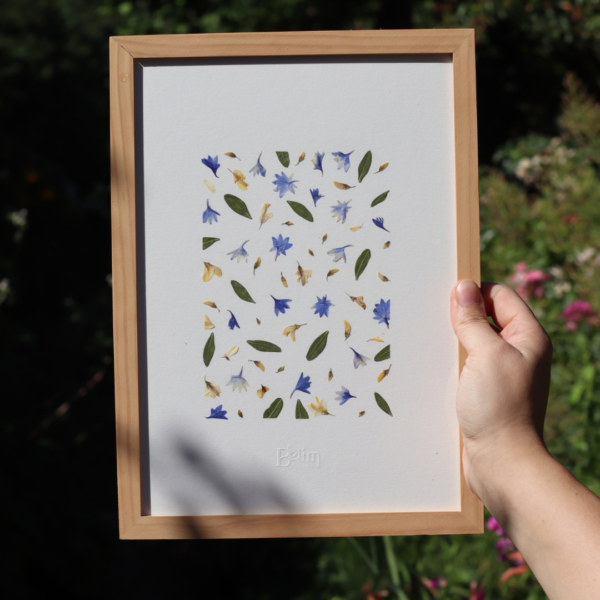 Herbier original PROMENADE SAUVAGE